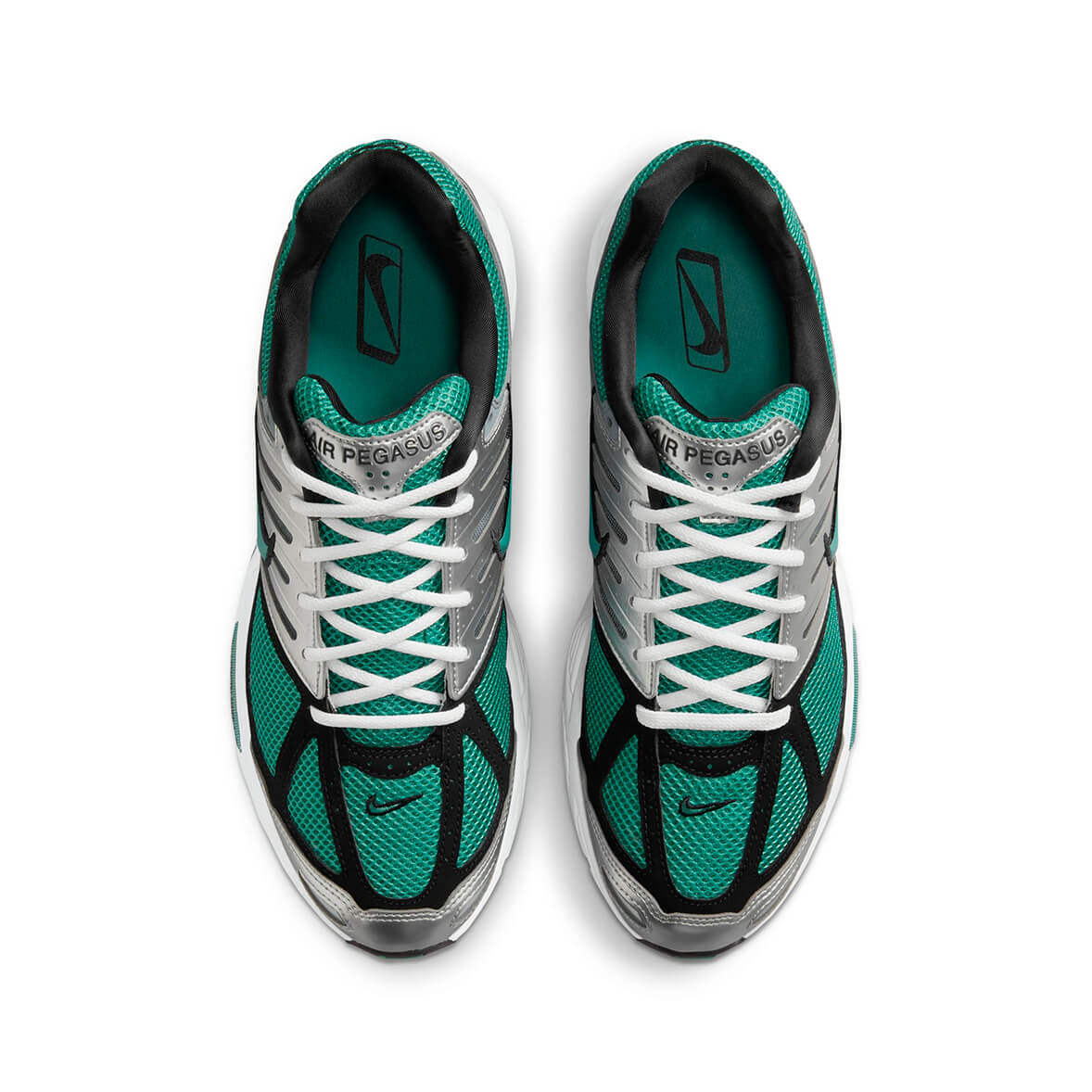 Nike Air Pegasus 2005 Bicoastal